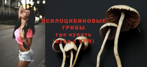 молекула духа Бородино