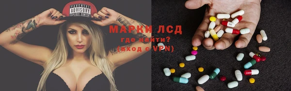 молекула духа Бородино