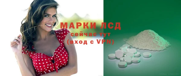 молекула духа Бородино