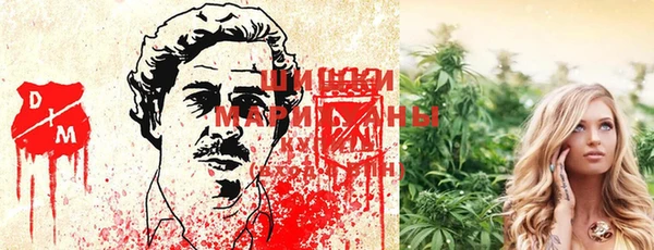 молекула духа Бородино