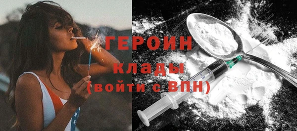 молекула духа Бородино