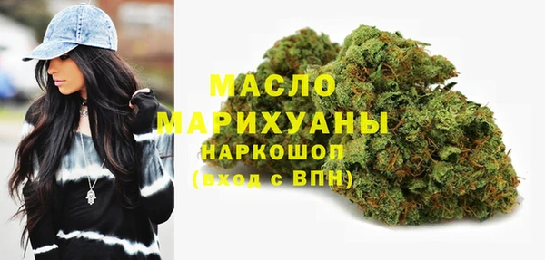 молекула духа Бородино