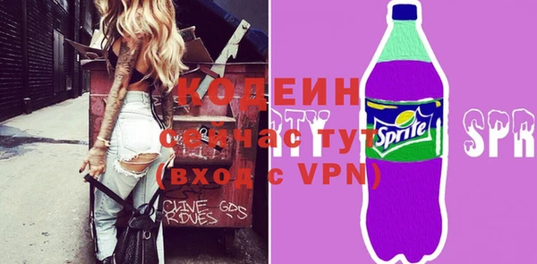 молекула духа Бородино