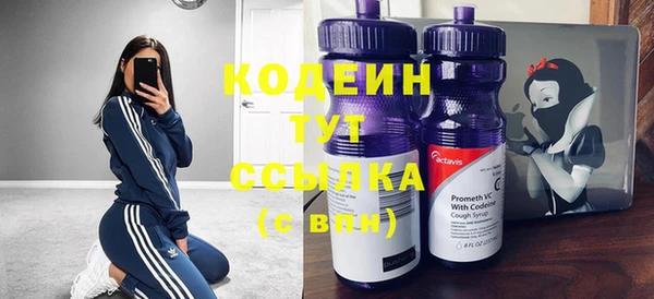 молекула духа Бородино